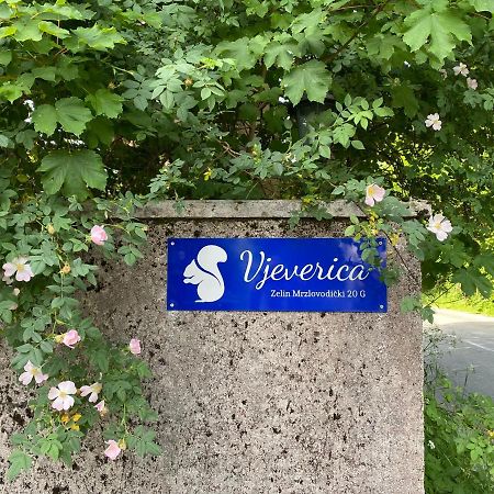 Apartments Vjeverica Zelin Mrzlovodicki 外观 照片