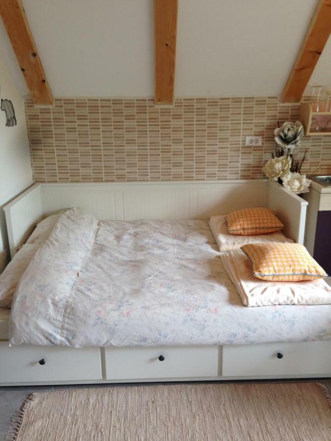 Apartments Vjeverica Zelin Mrzlovodicki 外观 照片