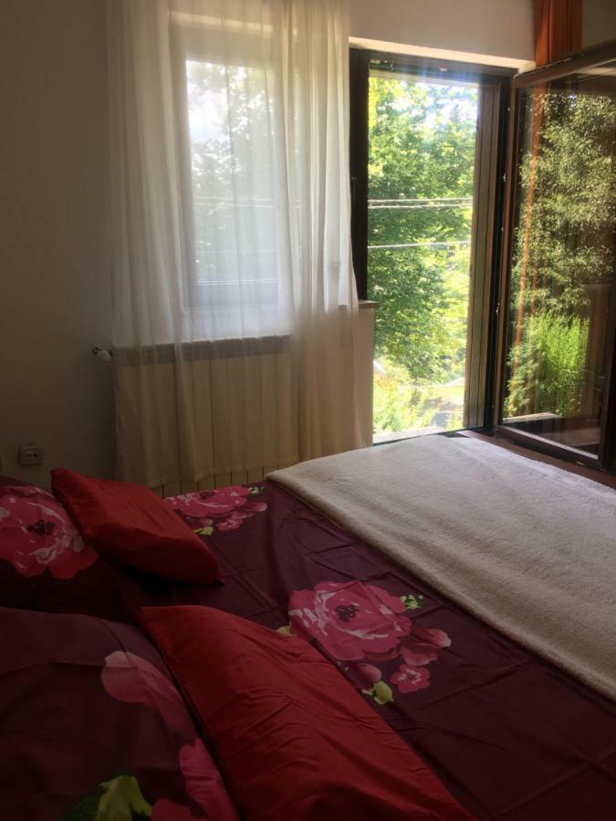 Apartments Vjeverica Zelin Mrzlovodicki 外观 照片