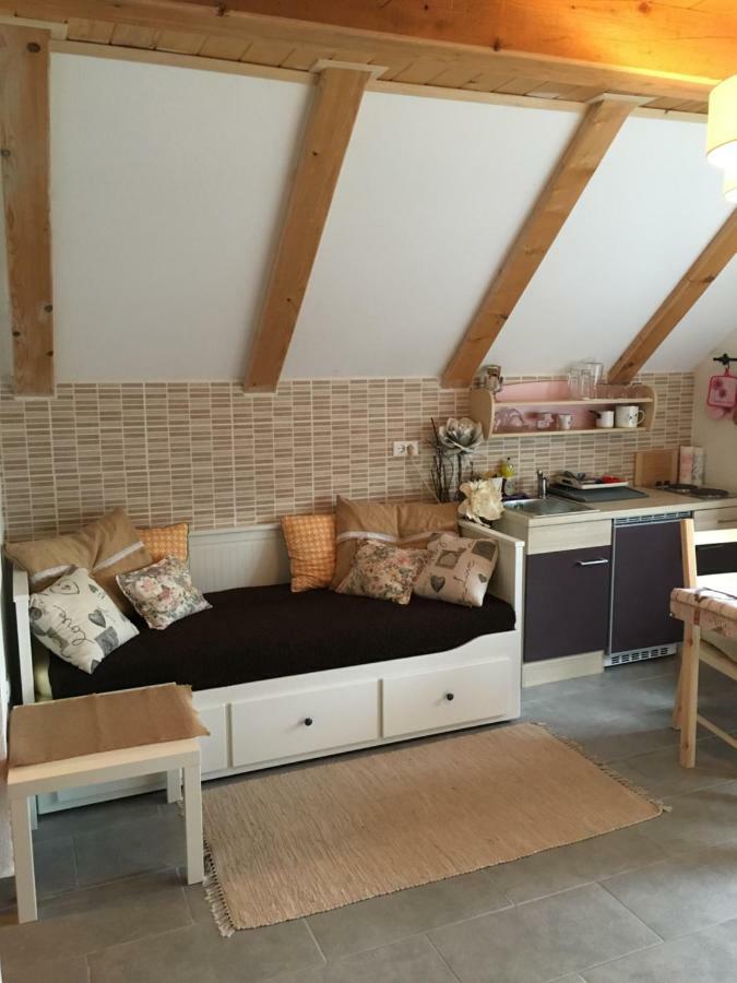 Apartments Vjeverica Zelin Mrzlovodicki 外观 照片